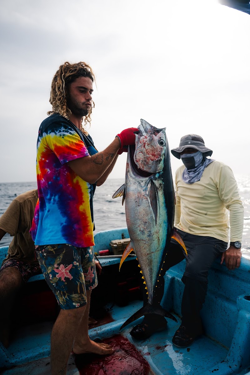 Fresh tuna landed aboard the boat
