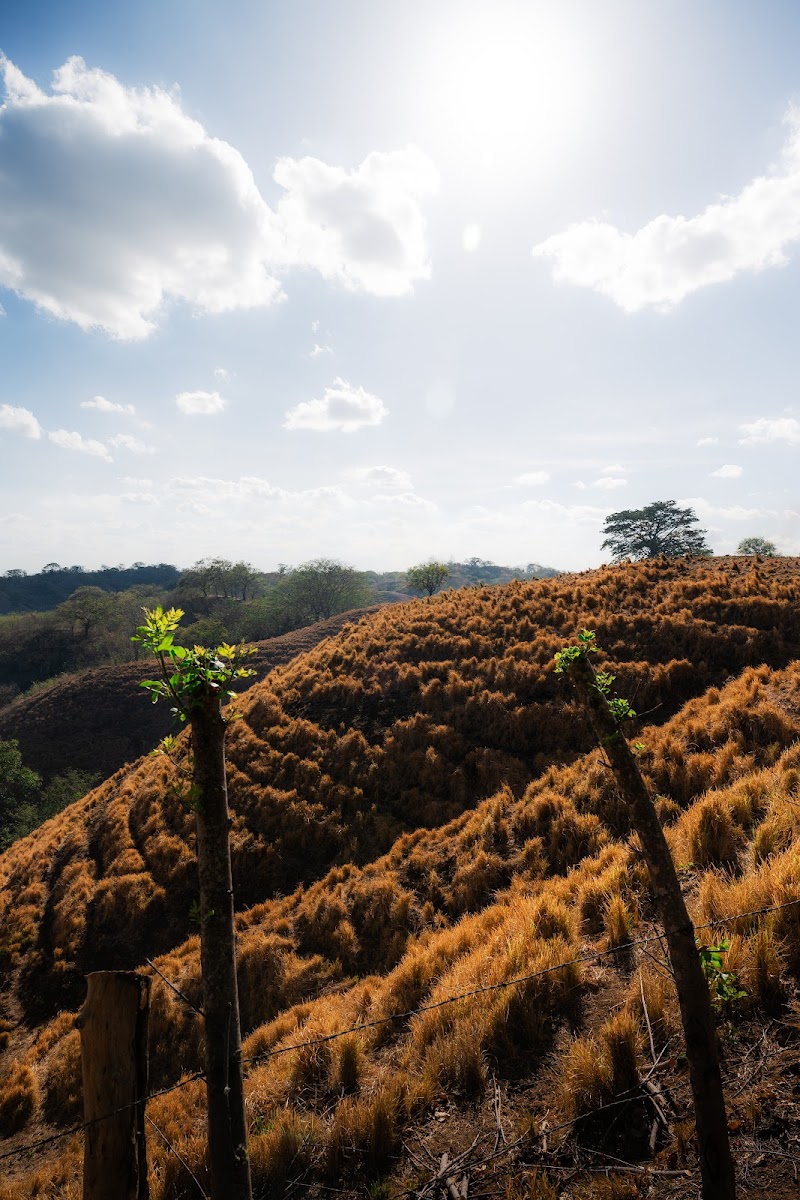 Golden Azuero hills under a big Pacific sky