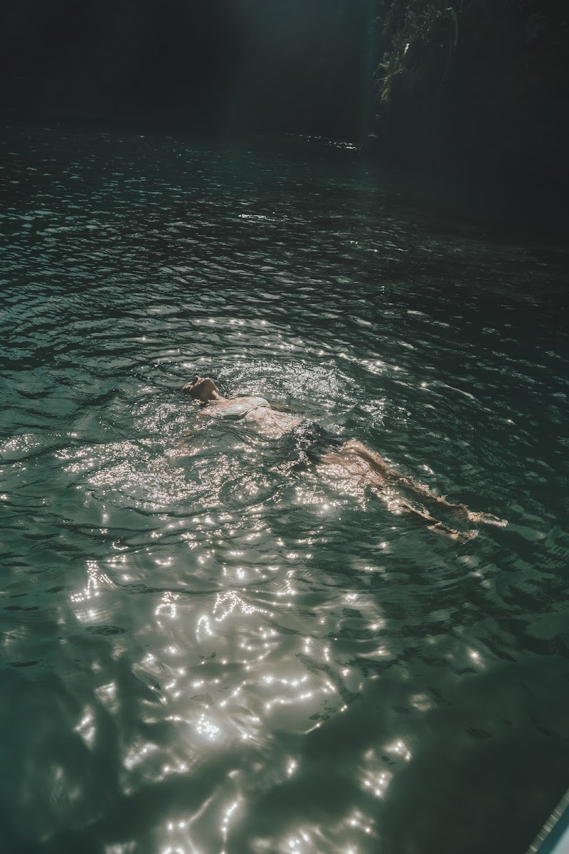 Floating in a glittering jungle river